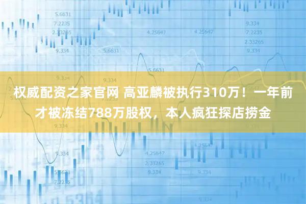 权威配资之家官网 高亚麟被执行310万！一年前才被冻结788万股权，本人疯狂探店捞金