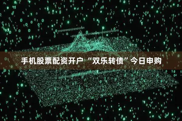 手机股票配资开户 “双乐转债”今日申购